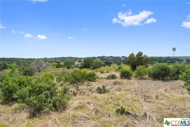 332 One River Pt, Johnson City, TX 78636