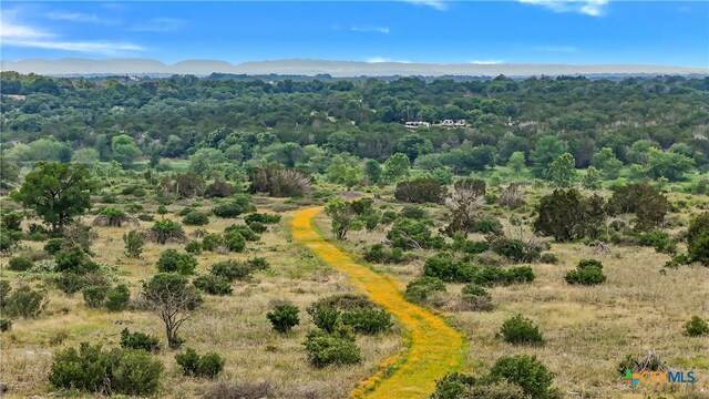 332 One River Pt, Johnson City, TX 78636