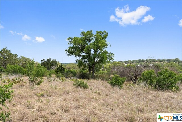 332 One River Pt, Johnson City, TX 78636