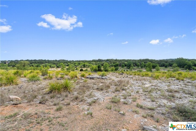 332 One River Pt, Johnson City, TX 78636