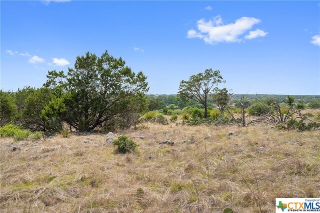 332 One River Pt, Johnson City, TX 78636