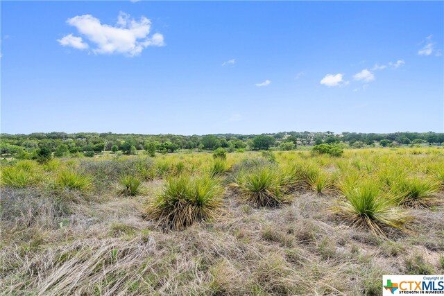 332 One River Pt, Johnson City, TX 78636