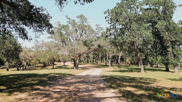 view of community with a lawn