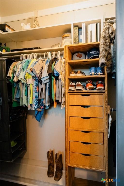 view of closet
