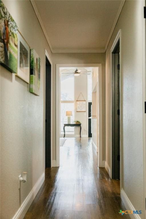 corridor featuring ornamental molding, baseboards, and wood finished floors