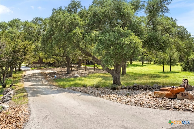 332 Westin Hls, New Braunfels, TX 78132 - surrounding community with a lawn, view of wooded area, and asphalt driveway