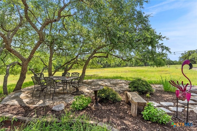 332 Westin Hls, New Braunfels, TX 78132 - view of green lawn featuring a patio