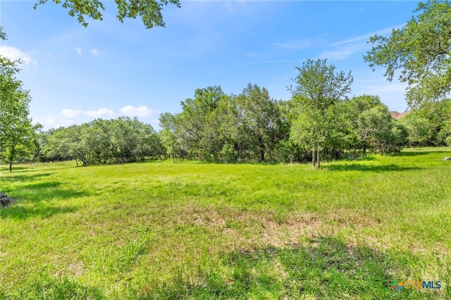 view of yard with a rural view