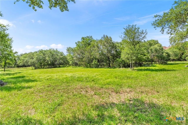 332 Westin Hls, New Braunfels, TX 78132 - view of yard