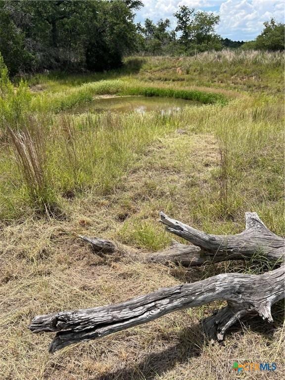 184 Guadalupe Hills Ln, Seguin, TX 78155 - view of local wilderness