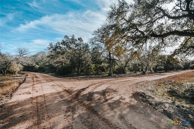 TractG Vitek Lane, Inez, TX 77968