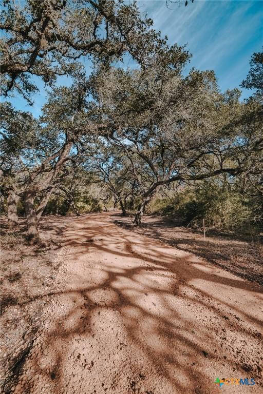 TractG Vitek Lane, Inez, TX 77968