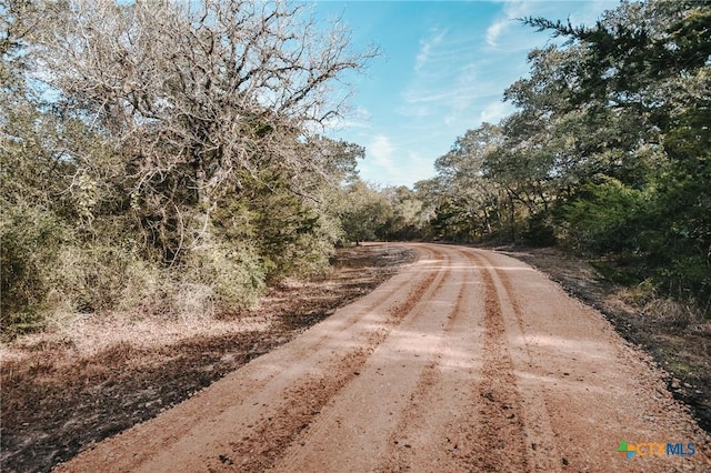TractG Vitek Lane, Inez, TX 77968