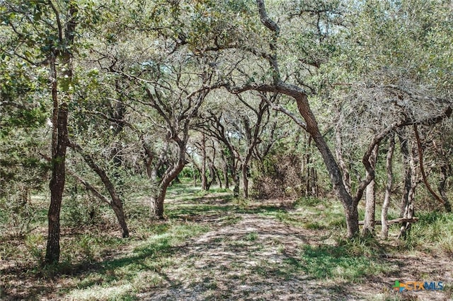 TractG Vitek Lane, Inez, TX 77968