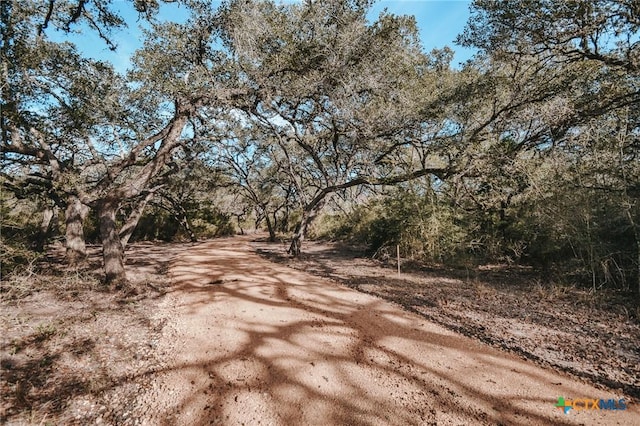 TractG Vitek Lane, Inez, TX 77968