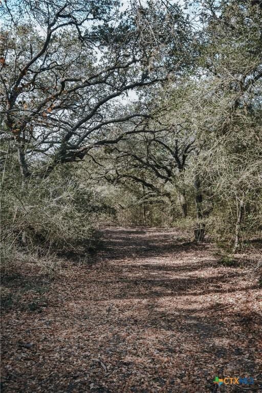 TractG Vitek Lane, Inez, TX 77968