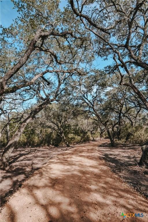TractG Vitek Lane, Inez, TX 77968