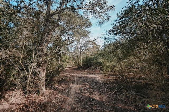 TractG Vitek Lane, Inez, TX 77968