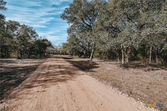 TractG Vitek Lane, Inez, TX 77968