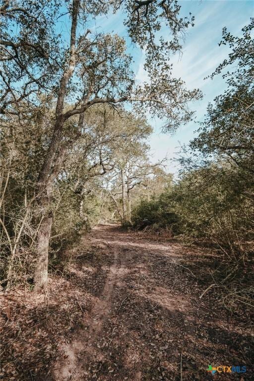 TractG Vitek Lane, Inez, TX 77968