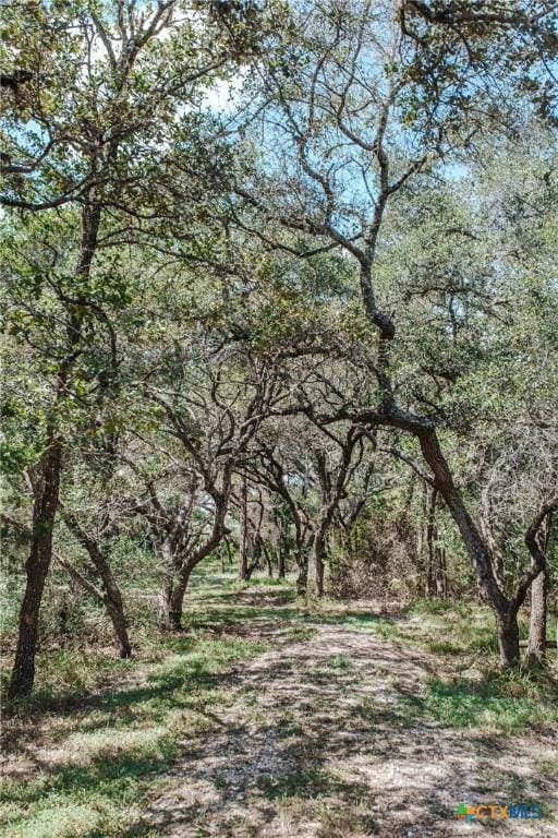 TractG Vitek Lane, Inez, TX 77968