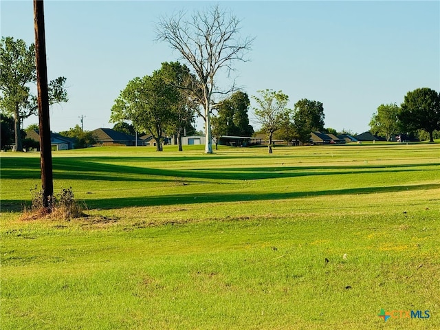 view of community featuring a lawn