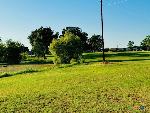 view of home's community with a yard