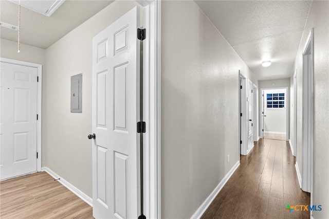 corridor featuring hardwood / wood-style flooring and electric panel