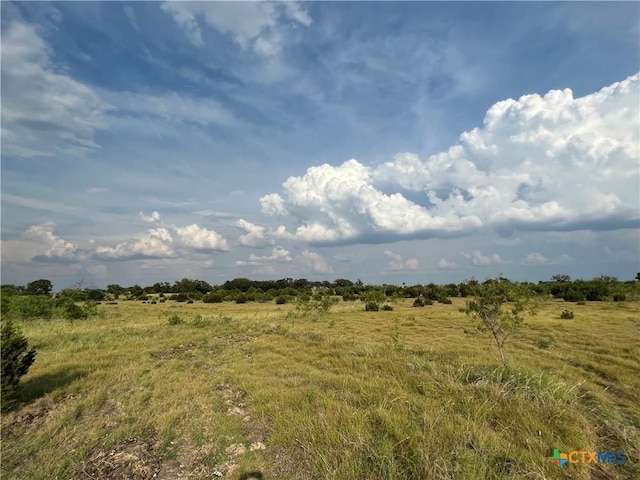 Listing photo 3 for TBD County Road 421, Evant TX 76525