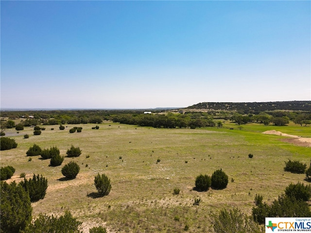 Listing photo 2 for TBD W Fm 581, Lometa TX 76853