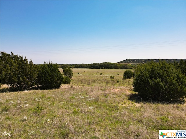 Listing photo 3 for TBD W Fm 581, Lometa TX 76853