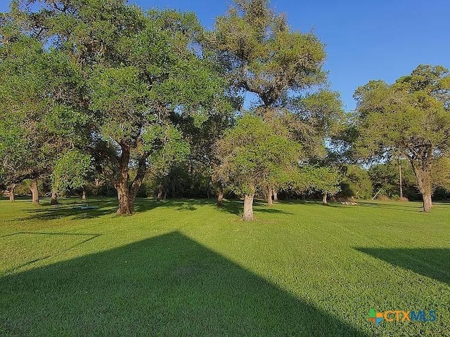 56 Post Oak Jct, Inez, TX 77968 - view of grassy yard