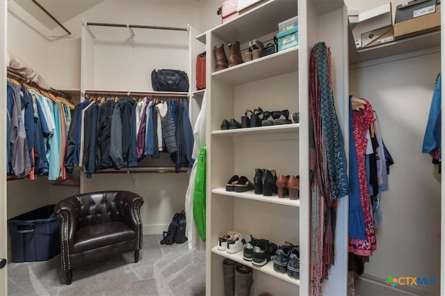 walk in closet with carpet