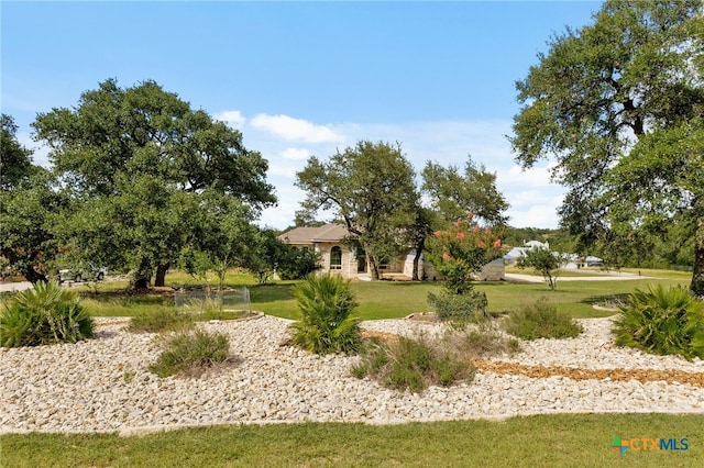 1607 Filtro, New Braunfels, TX 78132 - view of green lawn