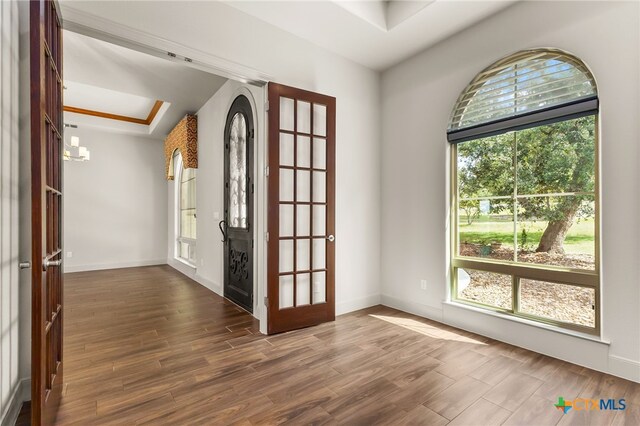 1607 Filtro, New Braunfels, TX 78132 - foyer with wood finished floors, french doors, and a raised ceiling