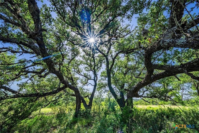 613 Cattle Creek Rd, Johnson City, TX 78636