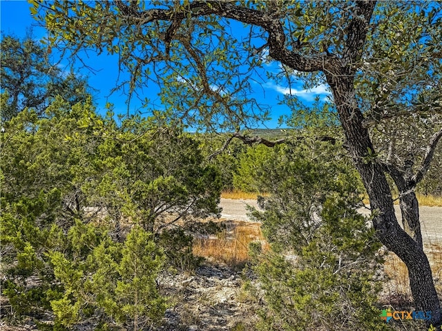 Listing photo 2 for 2900 Rocky Ridge Loop, Canyon Lake TX 78133