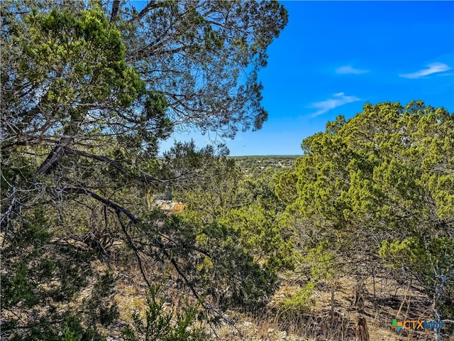 2900 Rocky Ridge Loop, Canyon Lake TX, 78133 land for sale