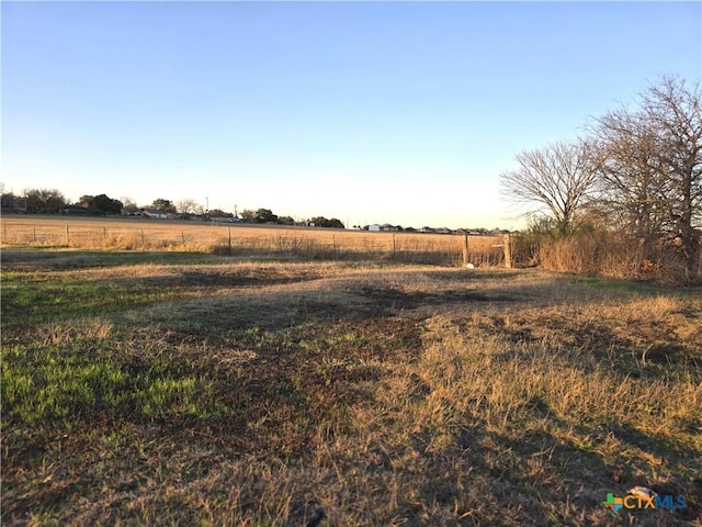 view of yard with a rural view