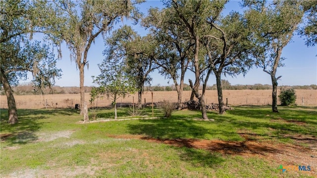 view of yard with a rural view