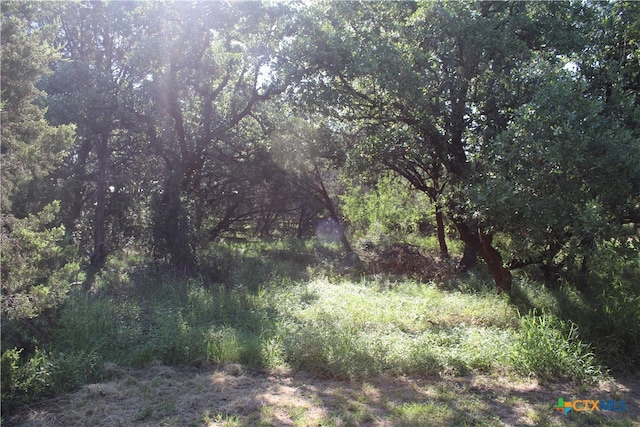 view of landscape with a view of trees