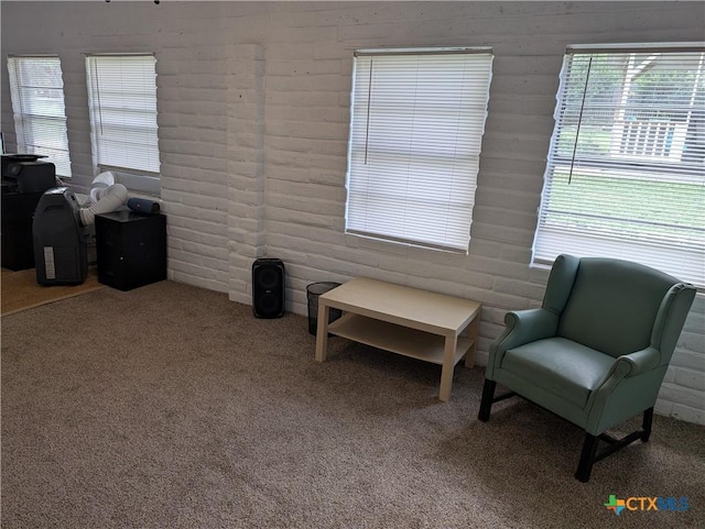1201 Oblate Dr, Canyon Lake, TX 78133 - sitting room with carpet floors