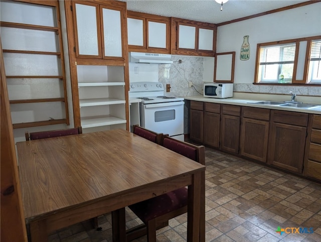 1201 Oblate Dr, Canyon Lake, TX 78133 - kitchen with white appliances, a sink, decorative backsplash, light countertops, and under cabinet range hood