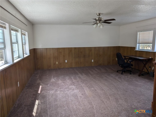 1201 Oblate Dr, Canyon Lake, TX 78133 - home office with a wainscoted wall, wood walls, a textured ceiling, carpet floors, and ceiling fan