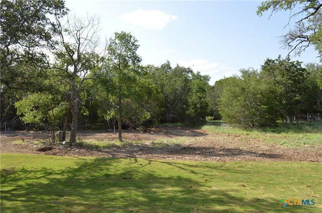 850 County Road 3152, Kempner, TX 76539 - view of grassy yard