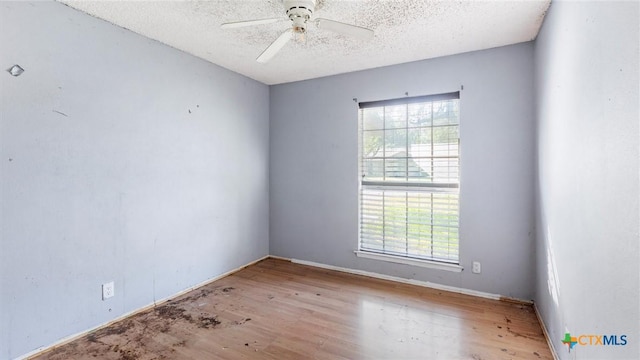12138 Cherry Blossom St, San Antonio, TX 78247 - photo 6