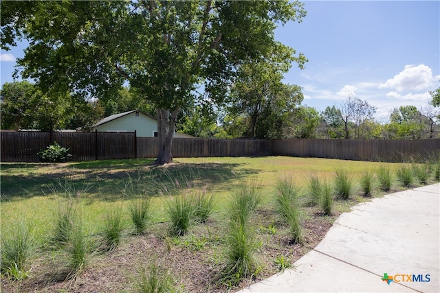 view of yard