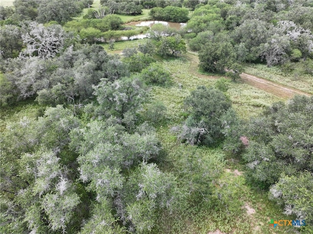 000 Bego Rd, Goliad, TX 77963 - photo 35