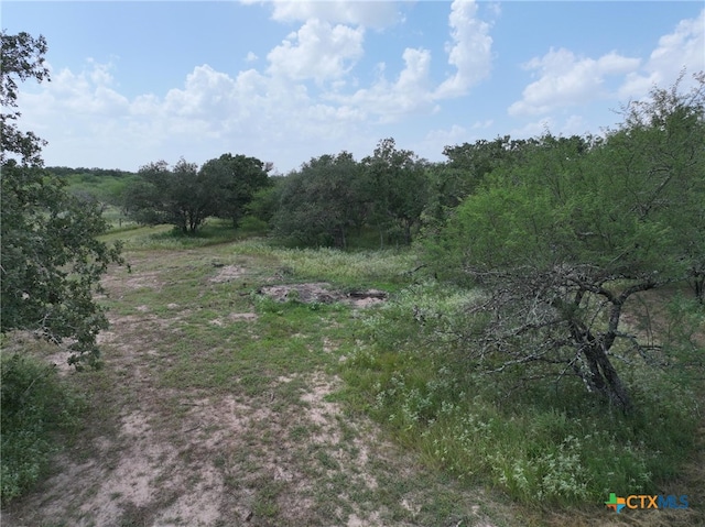 000 Bego Rd, Goliad, TX 77963 - photo 23