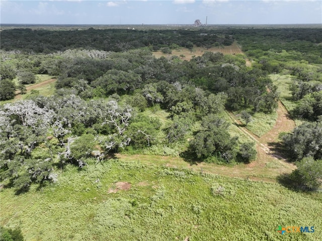 000 Bego Rd, Goliad, TX 77963 - photo 3